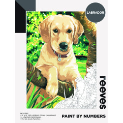 LABRADOR - PAINT BY NUMBER