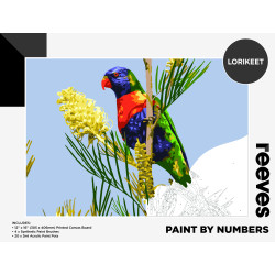 LORIKEET - PAINT BY NUMBER
