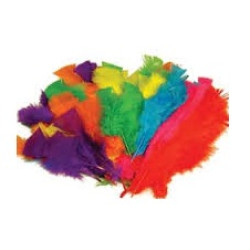 FEATHERS LARGE 30GM APPROX. 140 PER BAG ASSORTED