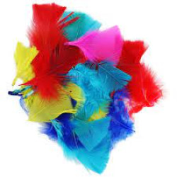 FEATHERS SMALL APPROX. 50 PER BAG SMALL